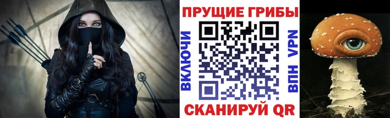 ОМГ ОМГ tor  Томск  Псилоцибиновые грибы GOLDEN TEACHER 